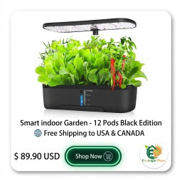 Smart Indoor Garden - 12 Pods Black Edition