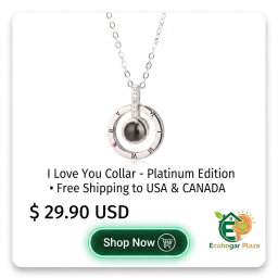 Jewelry & Accessories