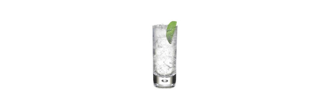Gin and Tonic 