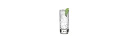 Gin and Tonic 