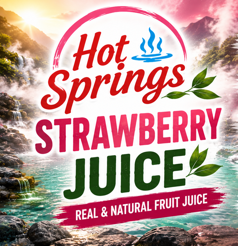 Hot Spring Fruit Juice 500ml x 12 