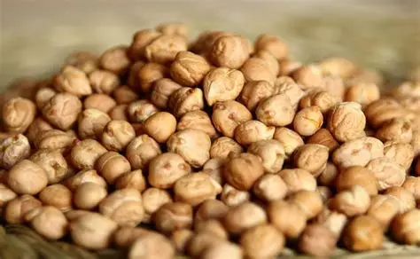 garbanzo x100g_0