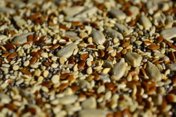 mix semillas desayuno x100g