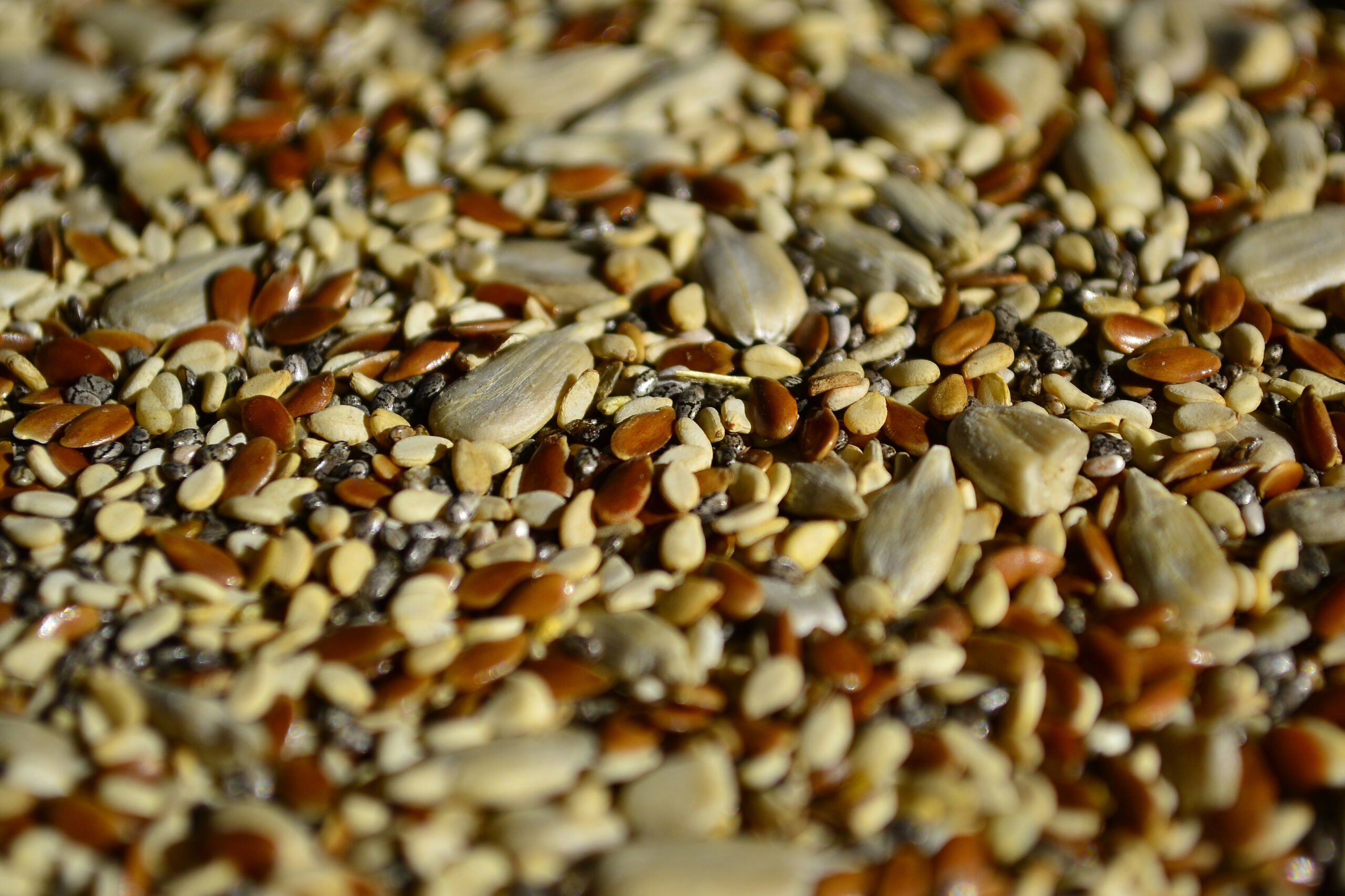 mix semillas desayuno x100g