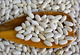 Poroto Alubia x100g