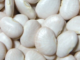 Poroto Pallares x100g