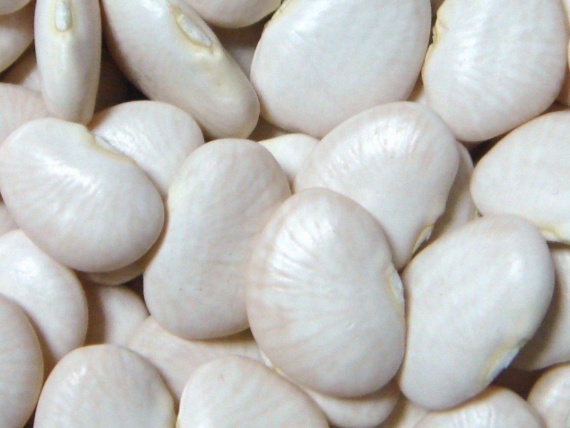 Poroto Pallares x100g