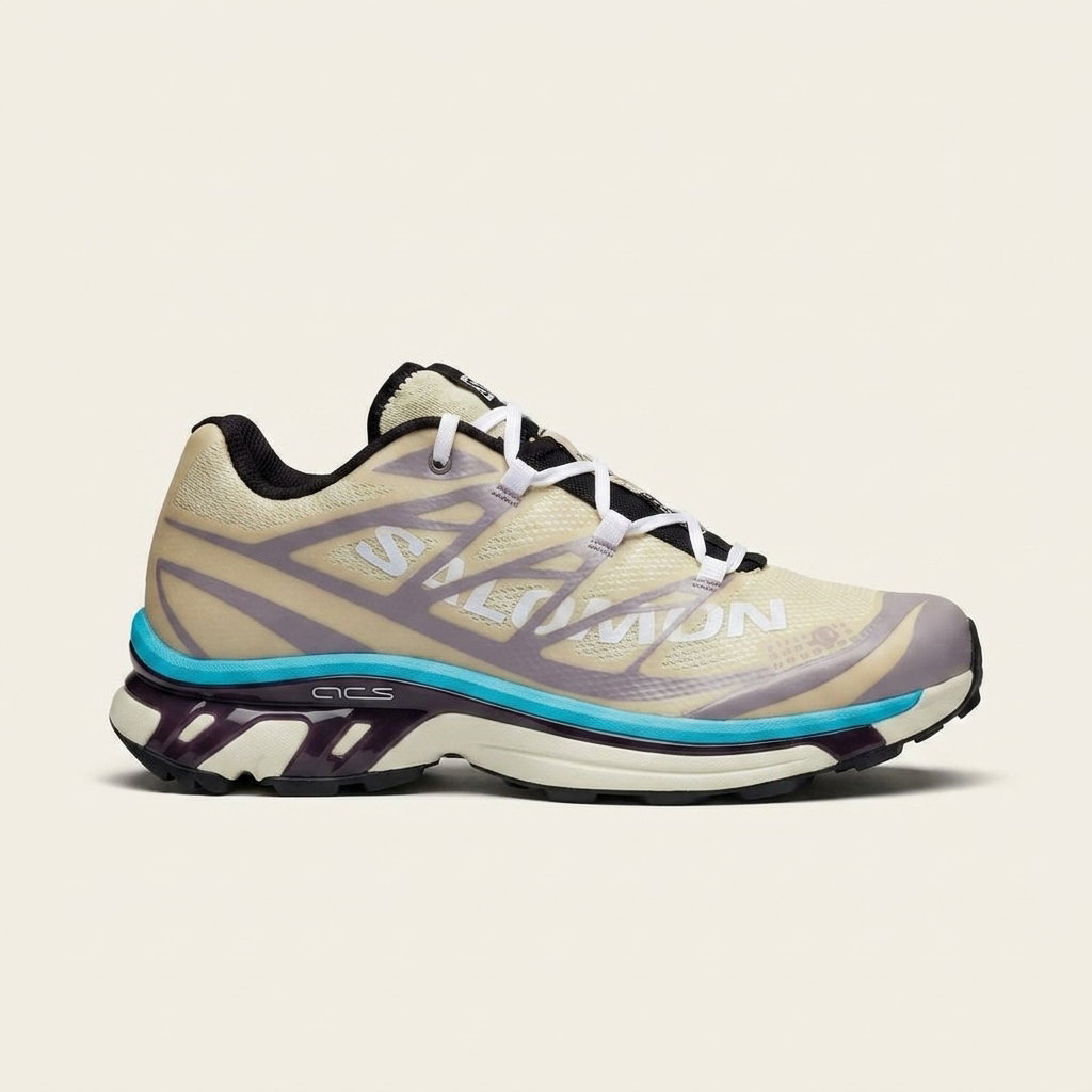 SALOMON ACS