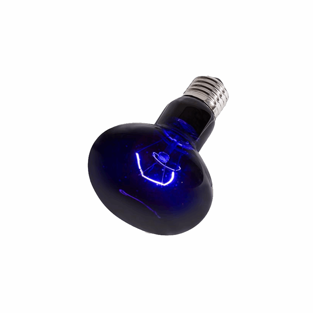 Repti Zoo Nightglow Moonlight Lamp_1