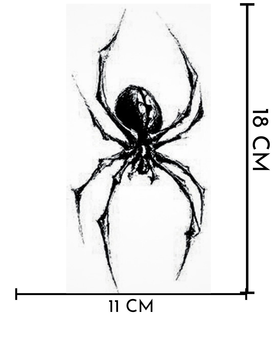 Black Widow_0