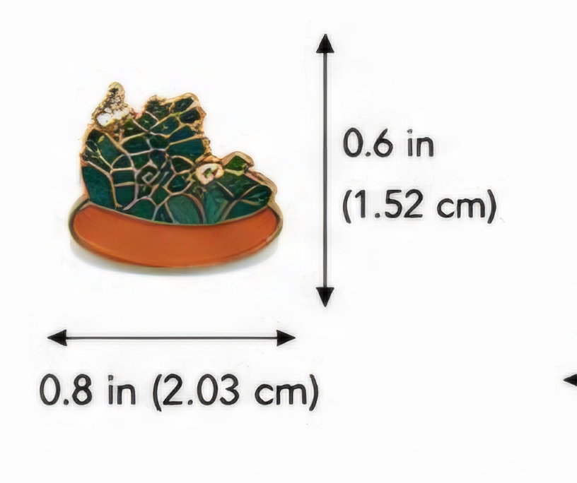 (Mini Succulent Tray) Pin