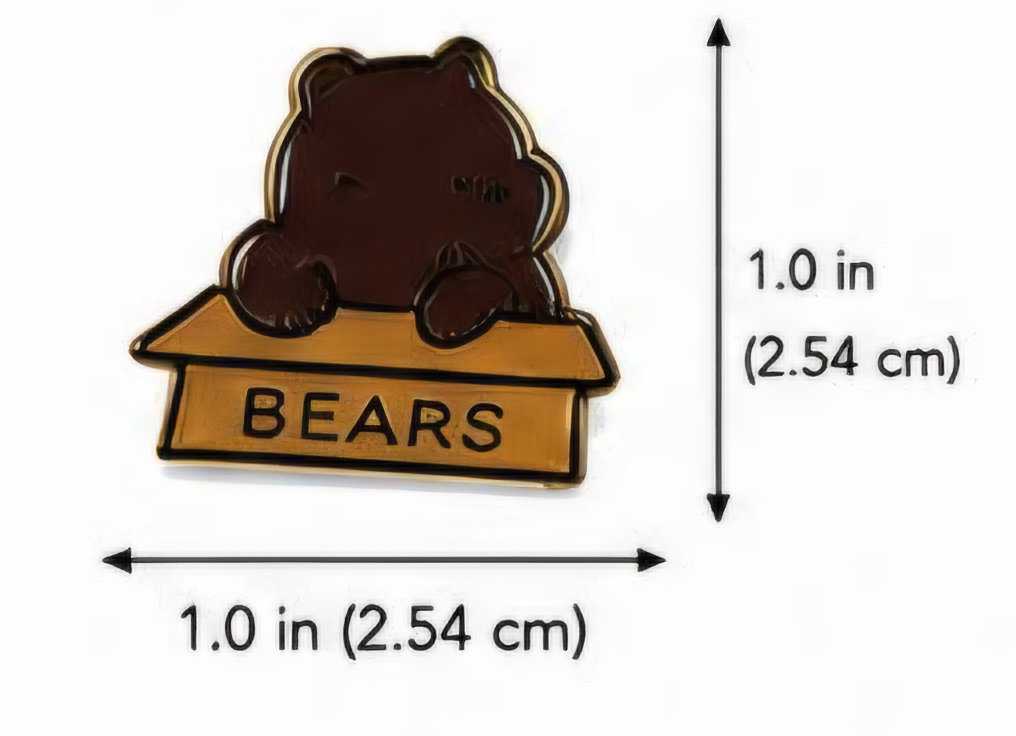 (Bear in Box) Pin_0