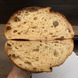 Protein Sourdough