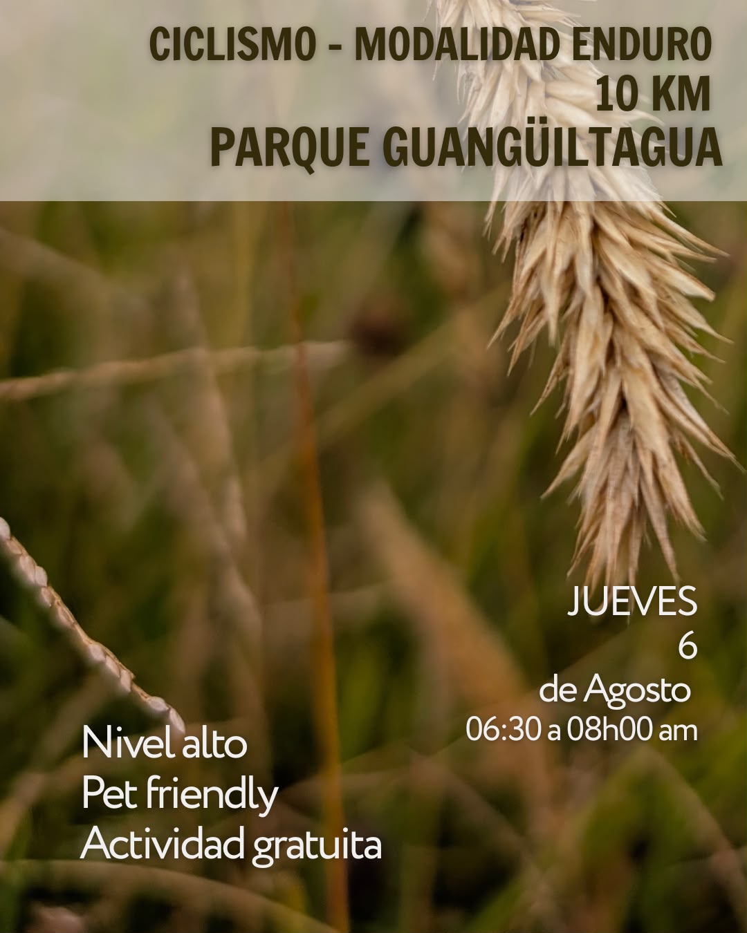 Plan personalizado