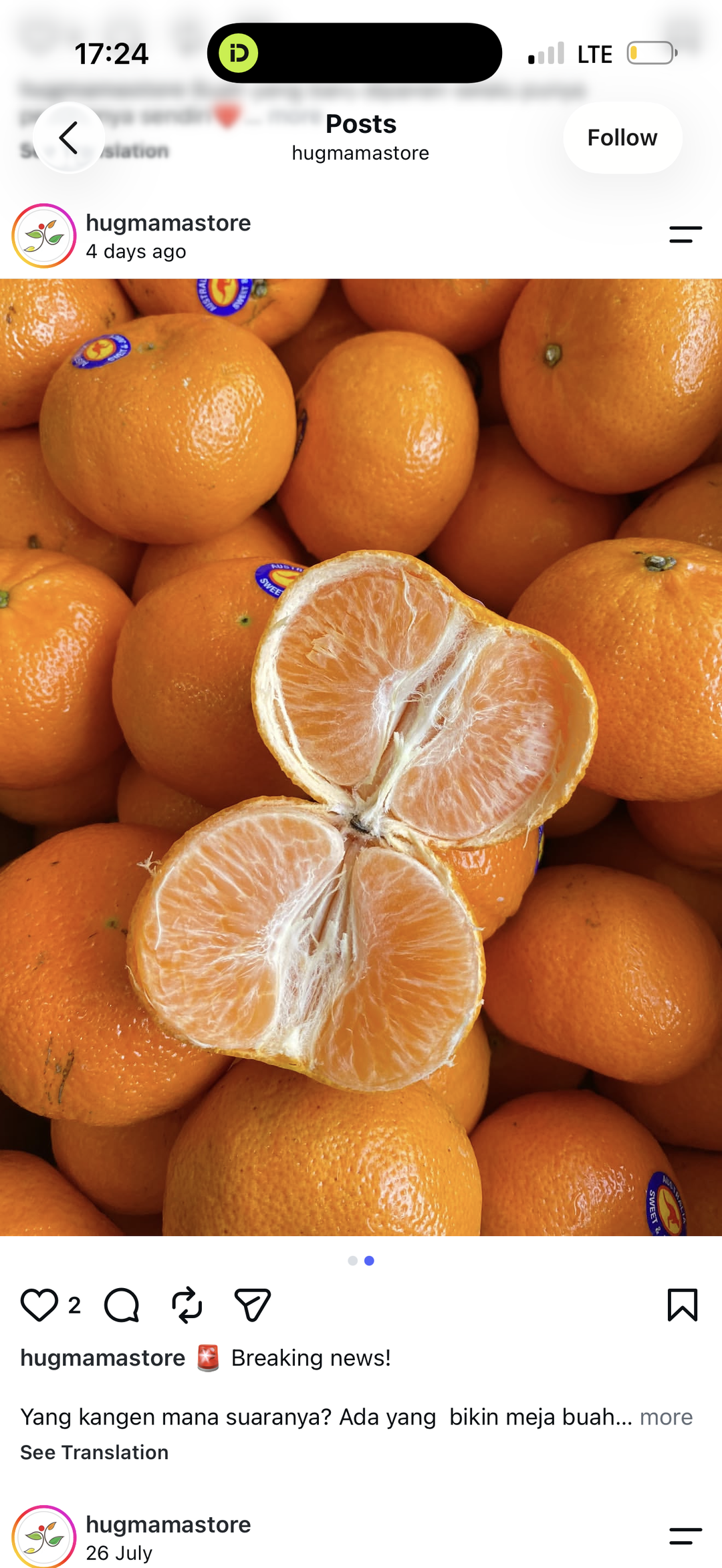 Imported Tangerines x 1