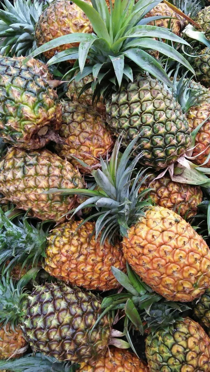 Pineapple 