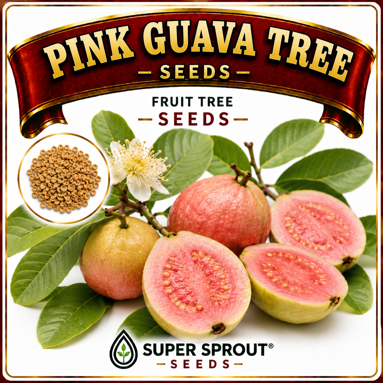 🌳PINK GUAVA TREE🌳 x 10 seeds