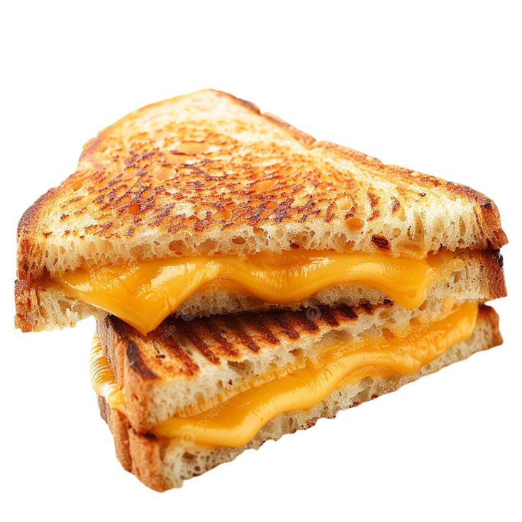 Cheese Sandwich