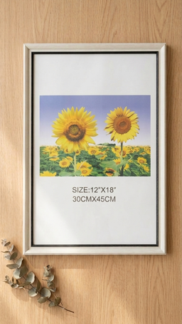 Frame FP2810 - 30x45