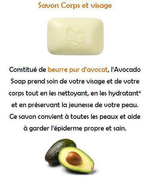 Forever avocado 