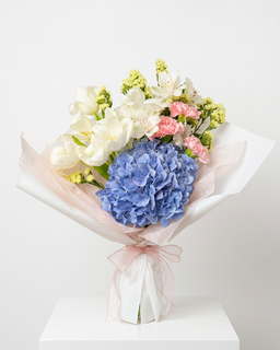 Medium+ Bloom