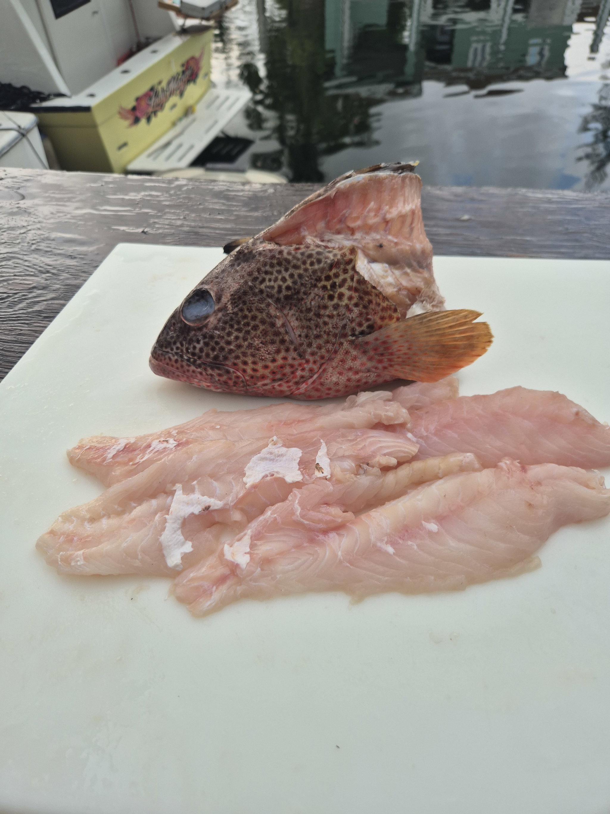 Strawberry Grouper Fillet (2lbs)_3