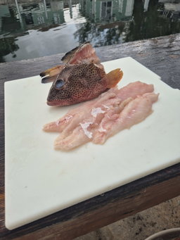 Strawberry Grouper Fillet (2lbs)