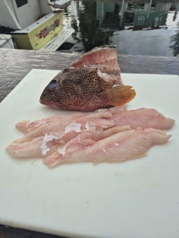 Strawberry Grouper Fillet (2lbs)
