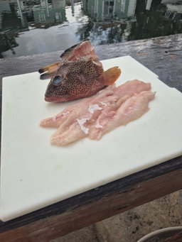 Strawberry Grouper Fillet (2lbs)