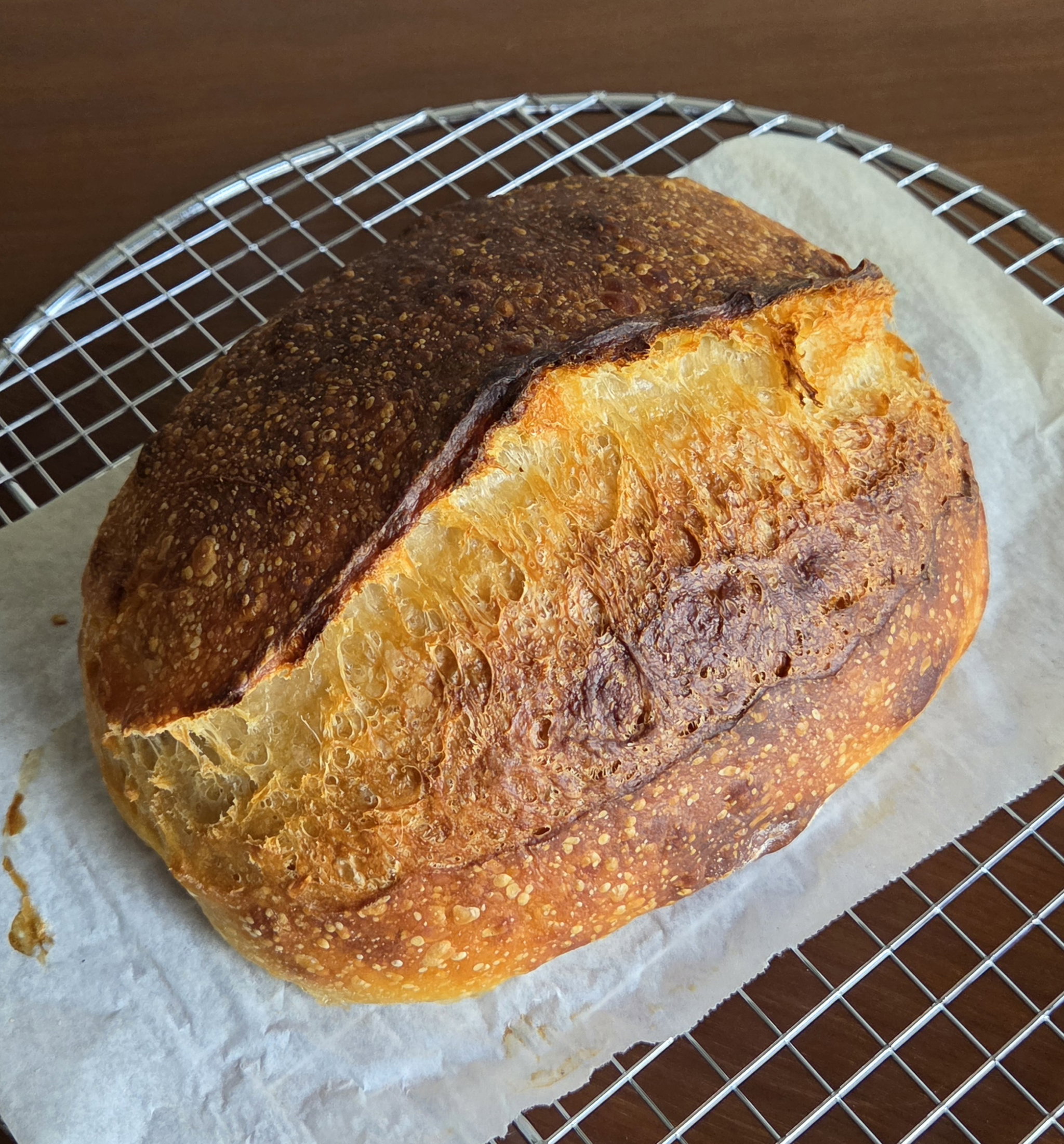 Protein Sourdough_0
