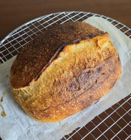 Protein Sourdough