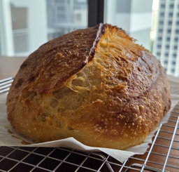 Protein Sourdough