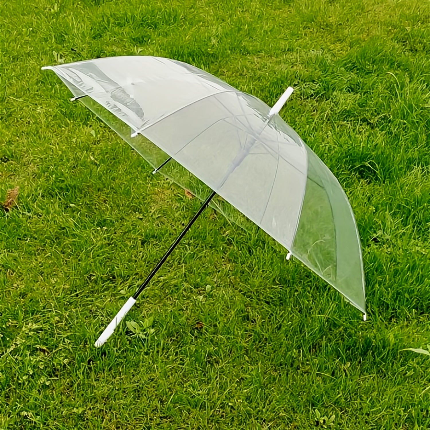 Premium Transparent Dome Umbrella With Clear PVC Canopy & Curved Handle_4
