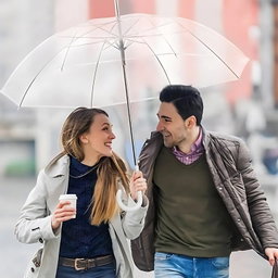 Premium Transparent Dome Umbrella With Clear PVC Canopy & Curved Handle