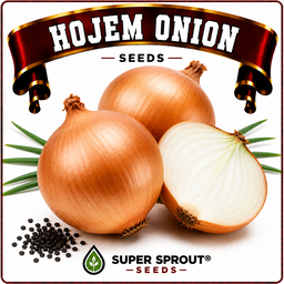 HOJEM ONION  x 50+ seeds