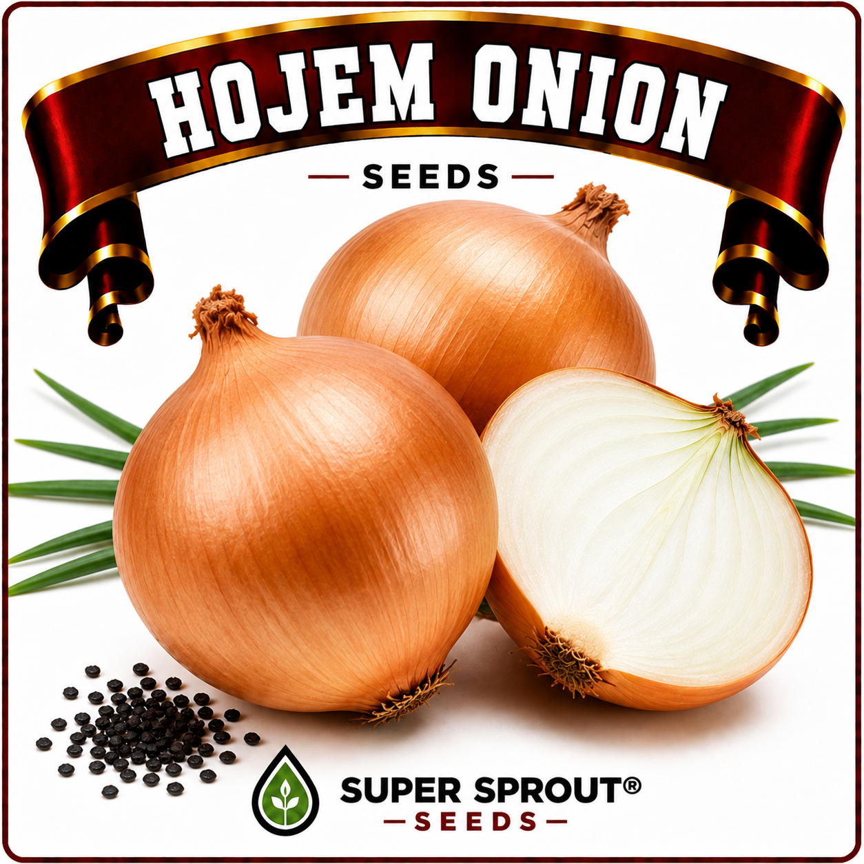 HOJEM ONION  x 50+ seeds