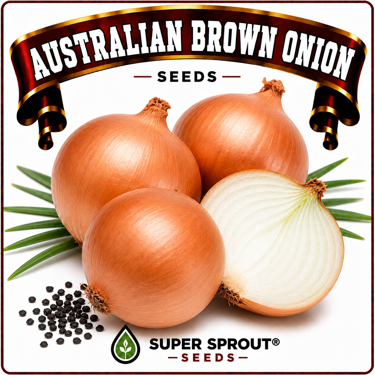 AUSTRALIAN BROWN ONION x 50+ seeds
