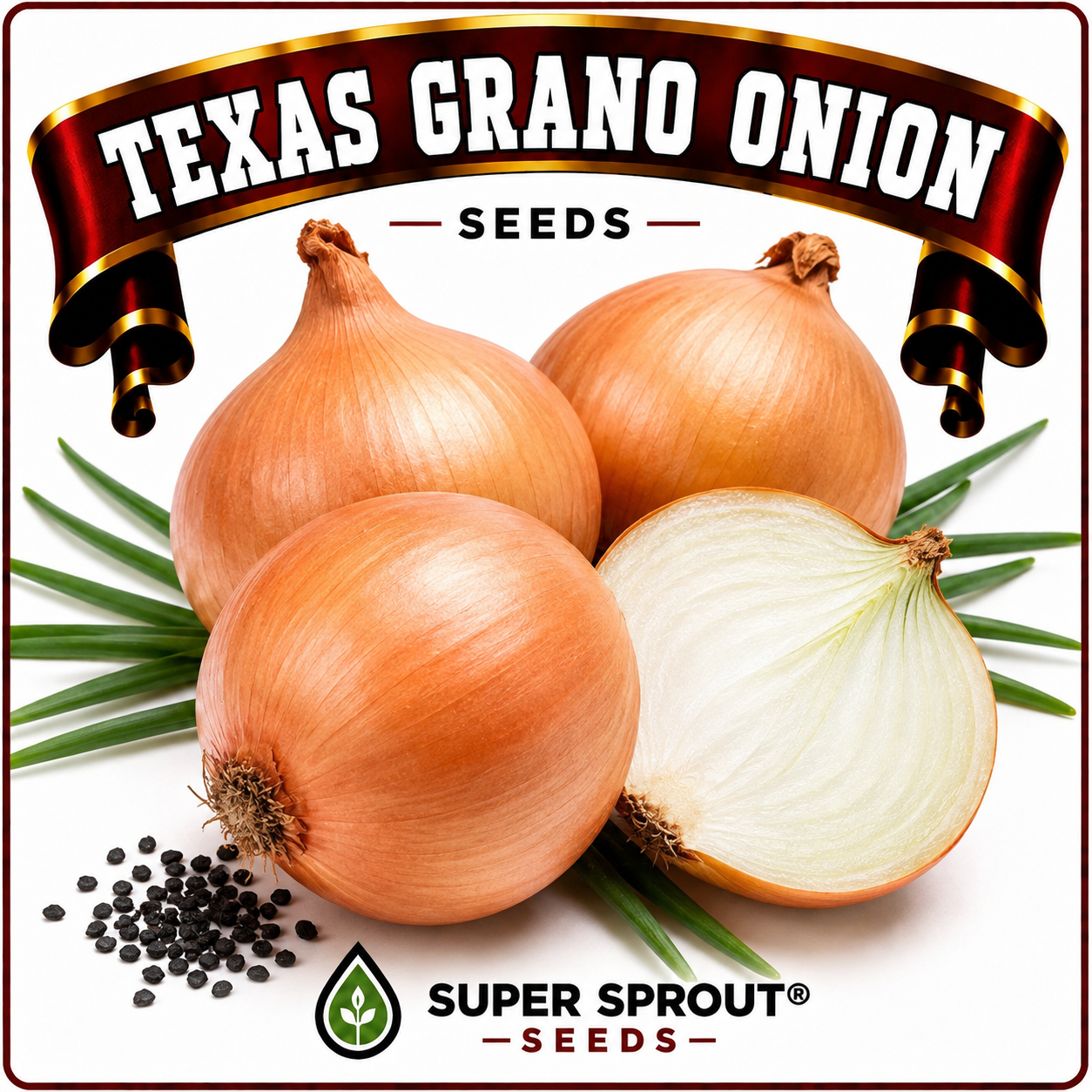 🌱TEXAS GRANO ONION🌱 x 50+ seeds