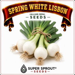 SPRING WHITE LISBON ONION x 50 seeds