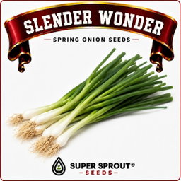 Slender Wonder Spring Onions x 25 seeds 