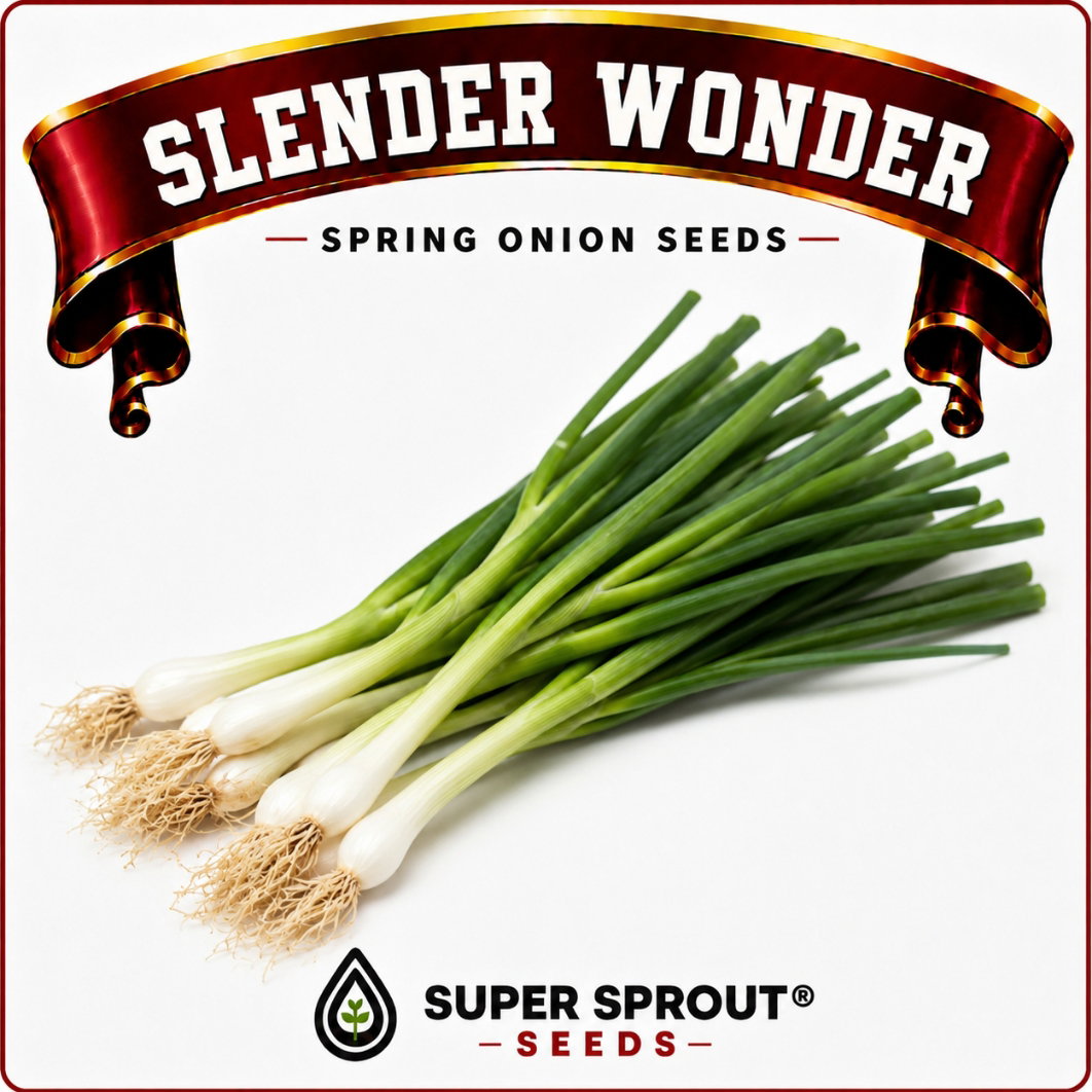 Slender Wonder Spring Onions x 25 seeds