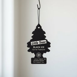 Car Freshener (hanging)