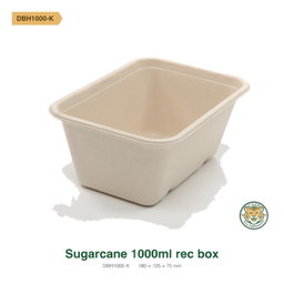 Bagasse Rectangular Box / 1000ml / Brown (RM0.3582/pc)