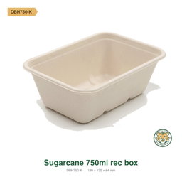 Bagasse Rectangular Box / 750ml / Brown (RM0.3230/pc)