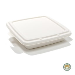 Bagasse 9" 3-Compartment tray / White (RM0.6176/pc)