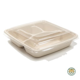 Bagasse 9" 4-Compartment tray / Brown (RM0.6518/pc)