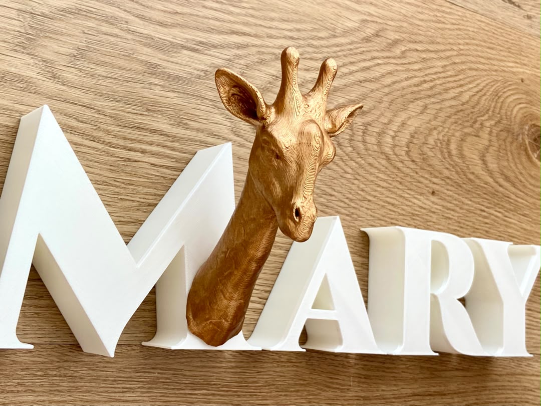 Animal Alphabet Giraffe Bust   _3