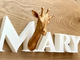 Animal Alphabet Giraffe Bust   