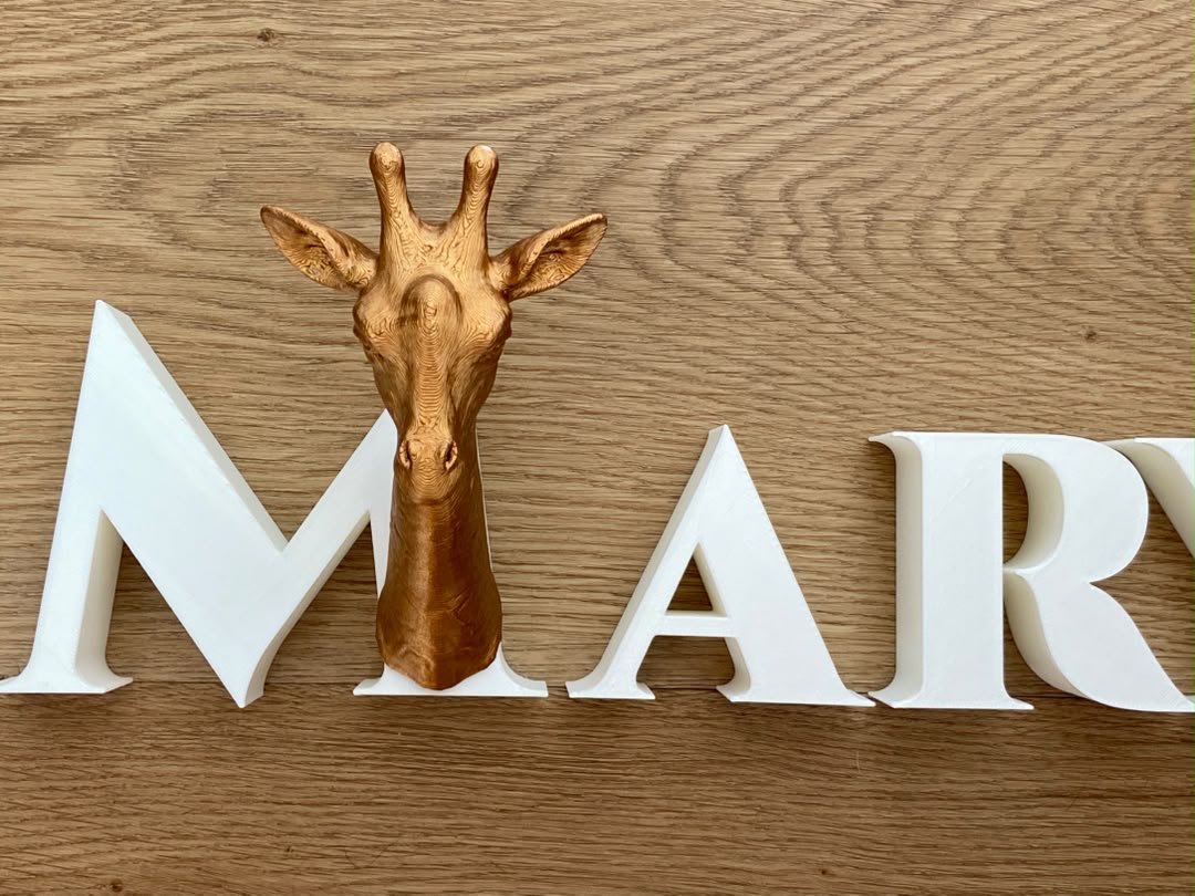 Animal Alphabet Giraffe Bust
