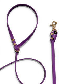 Biothane Leash